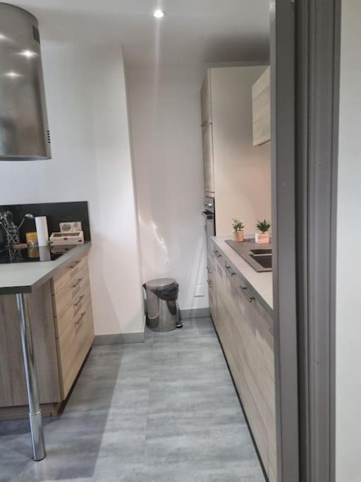 L'Ourse, Epinal,Tres Bel Appartement Quartier Port מראה חיצוני תמונה