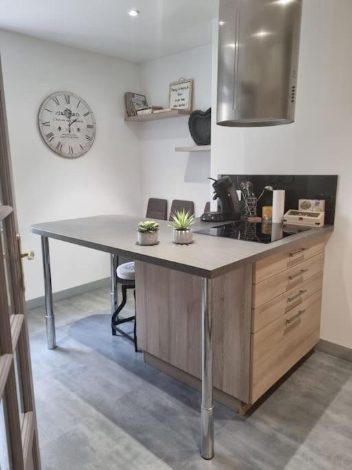 L'Ourse, Epinal,Tres Bel Appartement Quartier Port מראה חיצוני תמונה