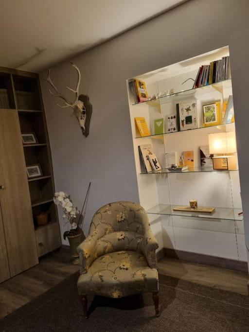 L'Ourse, Epinal,Tres Bel Appartement Quartier Port מראה חיצוני תמונה
